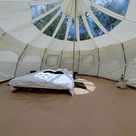 ホテル Luna Rock Glamping Brezoi - Blue Scai エクステリア 写真