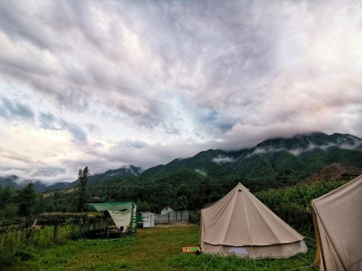 ホテル Luna Rock Glamping Brezoi - Blue Scai エクステリア 写真