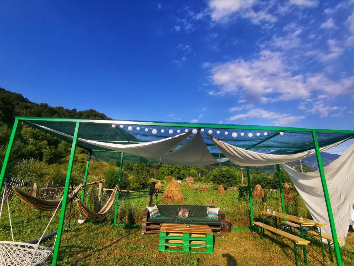 ホテル Luna Rock Glamping Brezoi - Blue Scai エクステリア 写真