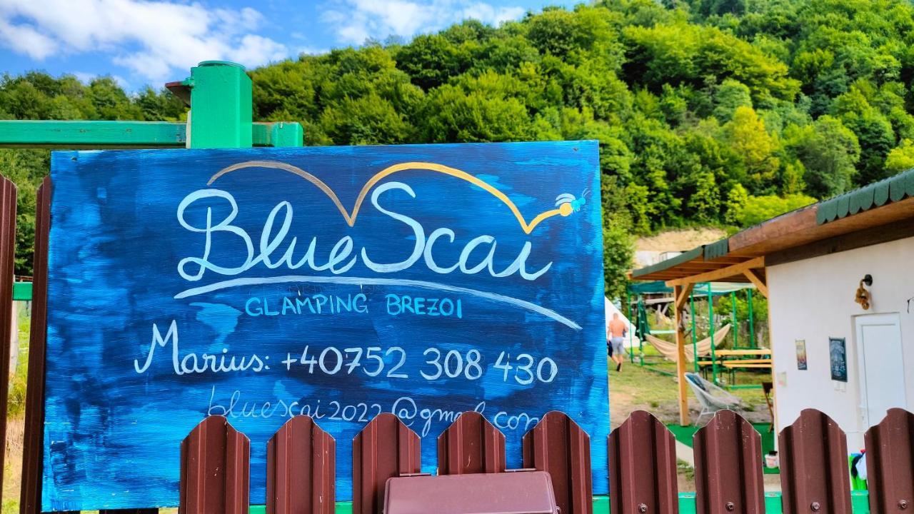 ホテル Luna Rock Glamping Brezoi - Blue Scai エクステリア 写真